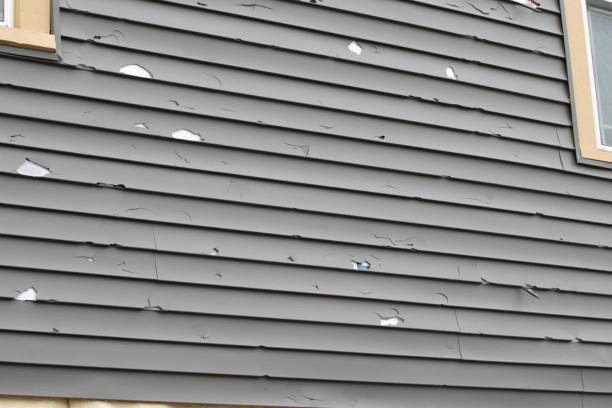 Best Historical Building Siding Restoration  in Bolingbrook, IL