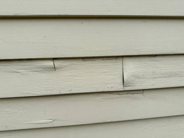 Best Insulated Siding Installation  in Bolingbrook, IL